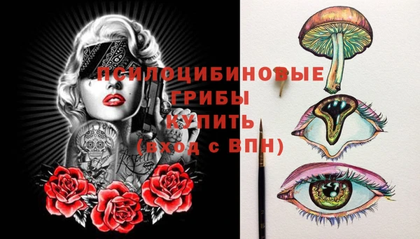 первитин Надым