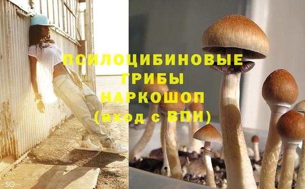 дурь Наволоки