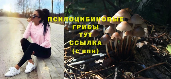 дурь Наволоки